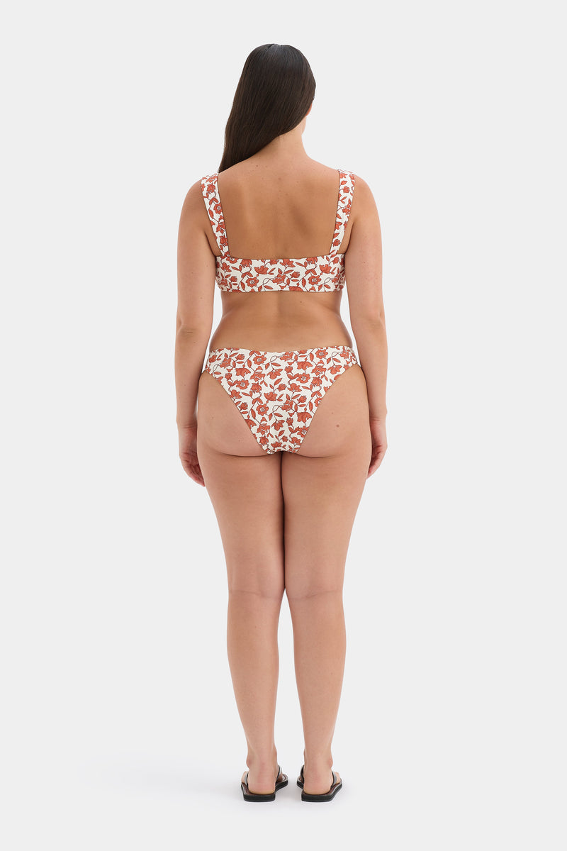 Chloe Shaped Brief